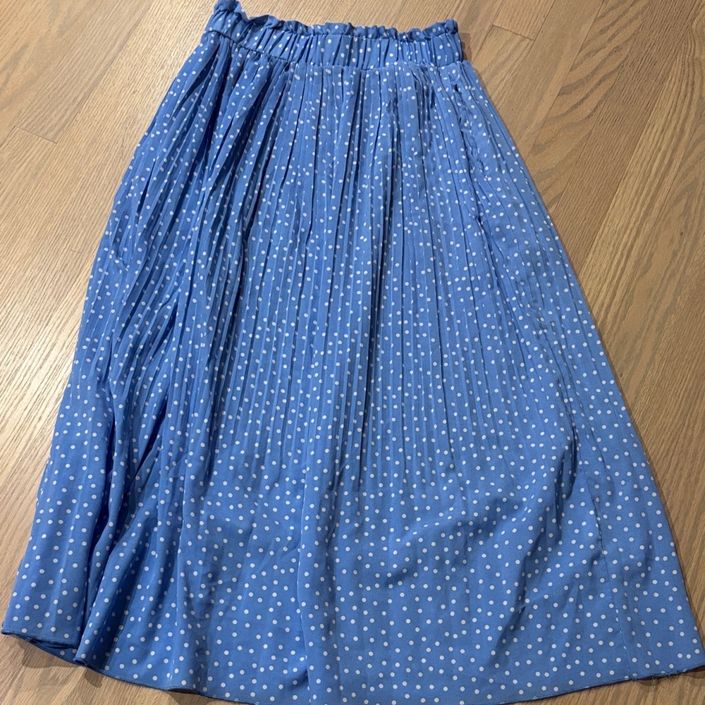 Blue Polka Dot Pleated A-Line Skirt